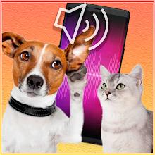 iTranslator: Dog and Cat icon