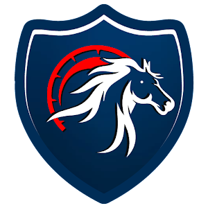 Amar VPN icon