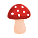 Shroomify - USA Mushroom ID icon