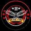 IGOL VIP - VPN icon