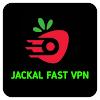 JACKAL FAST VPN icon