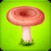 Forest Clans - Mushroom Farm icon