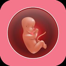 Pregnancy Weeks Tracker APK