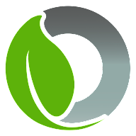 Green Coin icon