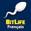 BitLife Français icon