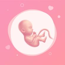 Pregnancy Tracker & Baby Guide icon