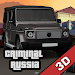 Criminal Russia 3D. Boris APK