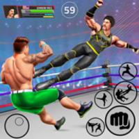 Tag Team Wrestling Games: Mega Cage Ring Fighting APK