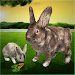 Ultimate Rabbit Simulator Gameicon