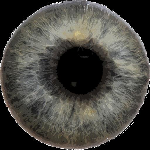 Eye Diagnosisicon