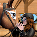 Star Equestrian - Horse Ranch APK