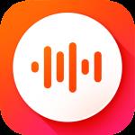 VoiceX icon