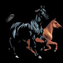 Horse breeds - Photos APK