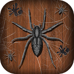 Spider Splat APK