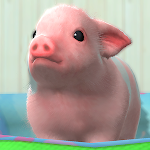 My micro pig icon