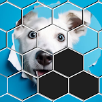 Hexa Sort Puzzle icon