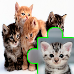 Cats Kittens Puzzles Jigsaws icon