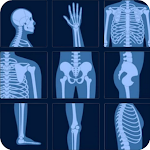 X-Ray Interpretation Guide icon