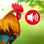 Animal sounds & Bird songsicon