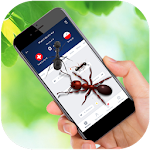 Ant Run on Screen Prank APK