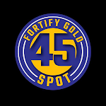 45 SPOT icon