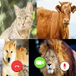 Animals Fake Video Call icon