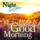 Good Morning Good Night Nature icon