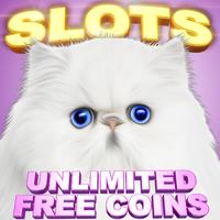 Casino Cash Cats Kitty Slots APK