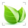 Plant Shoot, Plant Identifier icon