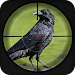 Animal Shooting Games 2023 icon