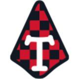 Tafl Champions: Ancient Chess APK