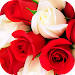 Roses Stickers for WhatsApp icon