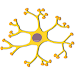 Neurophysiology icon