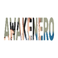 Awakenero icon