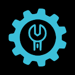 Developer Options icon