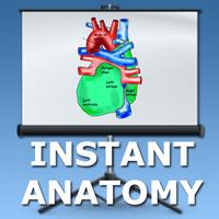 Anatomy Lectures - the heart icon