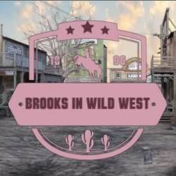 Brooks in Wild West APK