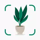 Plantify: Plant Identifier APK