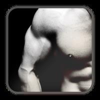 Gym Trainer Fitness Workout APK