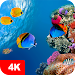 Underwater Wallpapers 4K icon