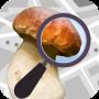 Mushroom Identify - Automatic icon