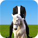 Horse With Man Photo Suit APK