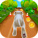 Pet Run APK