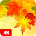 Autumn Wallpapers 4Kicon