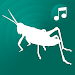 ringtones crickets for phone APK