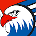 Adler Mannheim Fan App icon