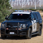 Police Simulator Car Games Cop APK