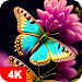 Butterfly Wallpapers 4K APK