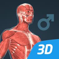 Human body (male) VR 3D icon