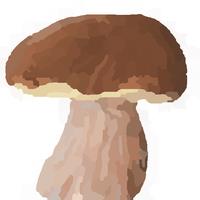 Mushroomizer icon